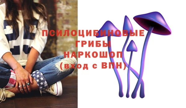 прущая мука Богданович