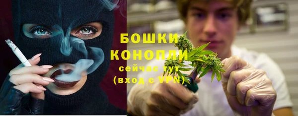 apvp Богородск