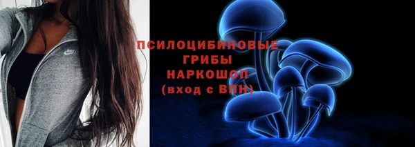 mdpv Богородицк