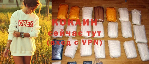 mdpv Богородицк