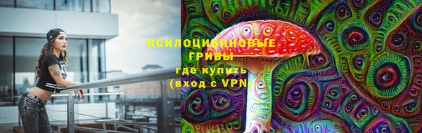 mdpv Богородицк