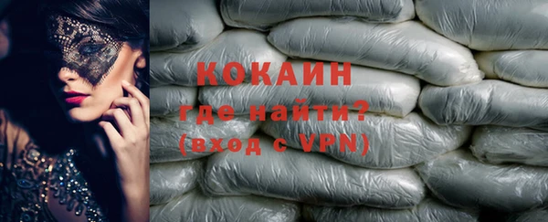 mdpv Богородицк