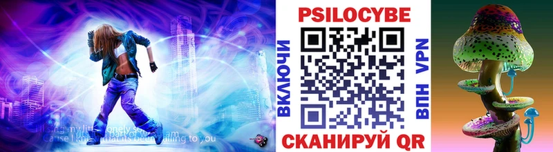 Галлюциногенные грибы Psilocybine cubensis  Купить  Бабушкин 